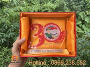 Kỷ niệm chương mica 30 năm